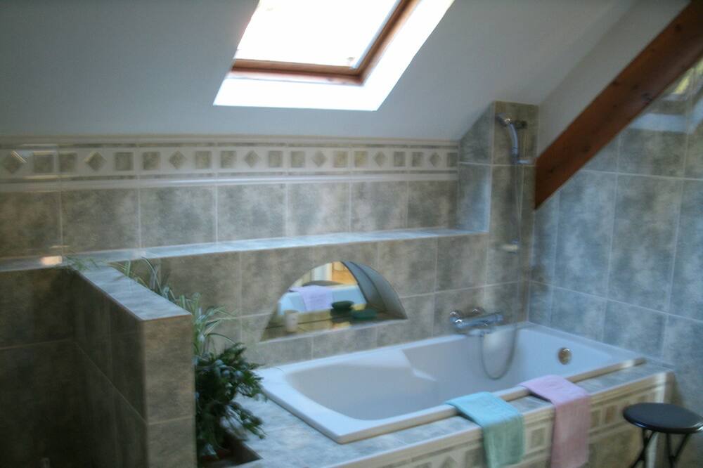 Photo of Bathroom in Pareac