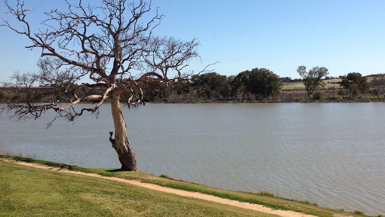 Photo of Others in Long Flat
