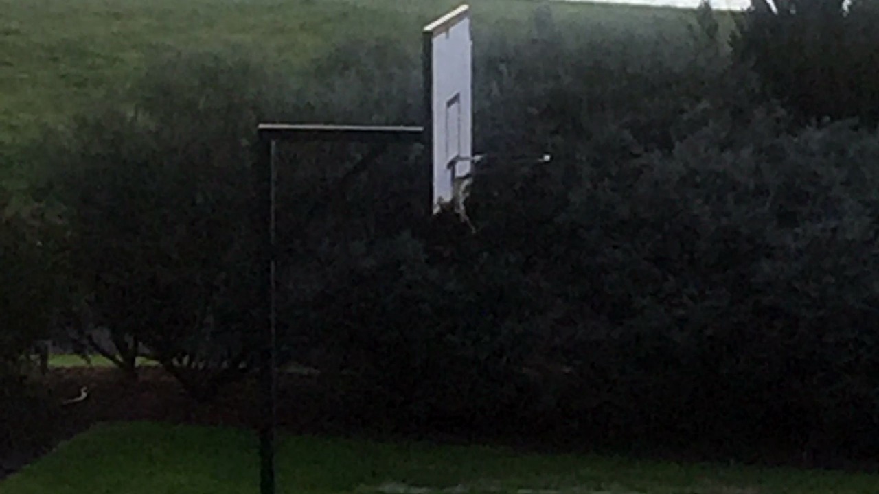 Photo of Outdoor in Long Flat