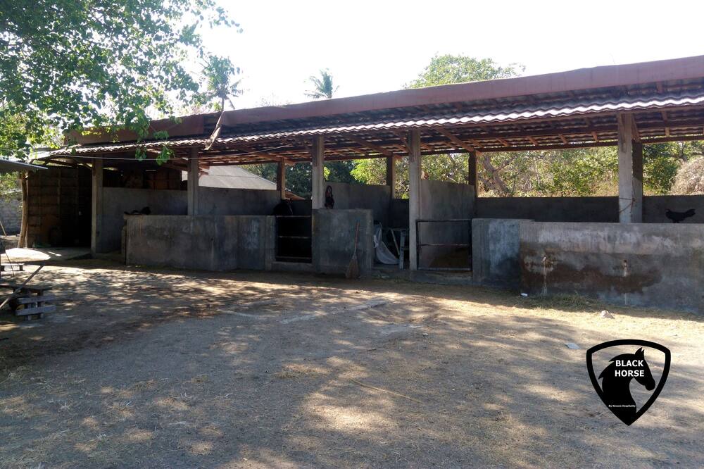 Photo of Others in Gili Meno