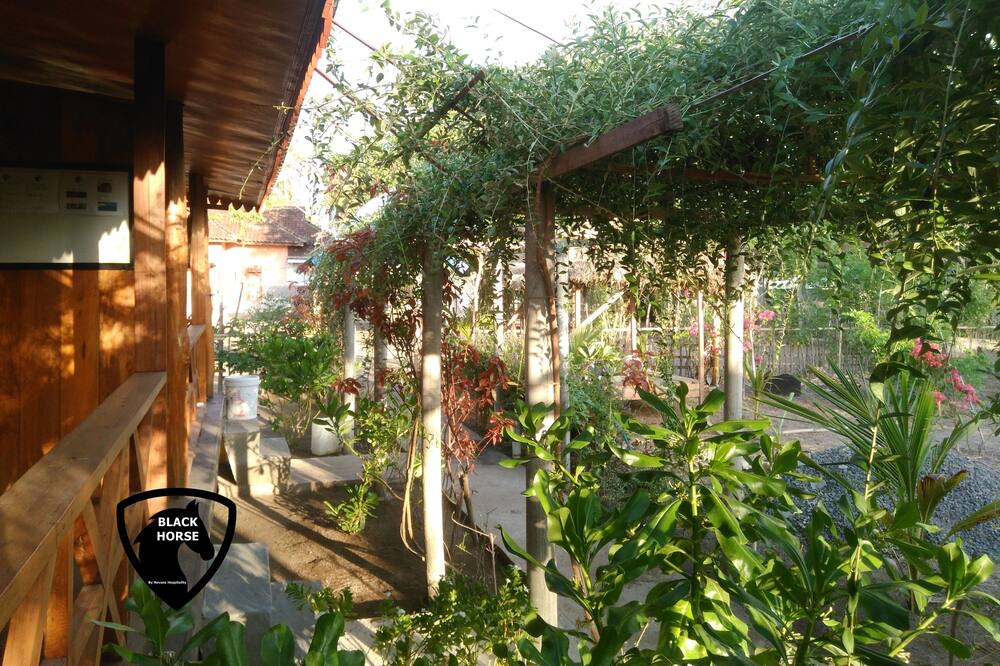 Photo of Outdoor in Gili Meno