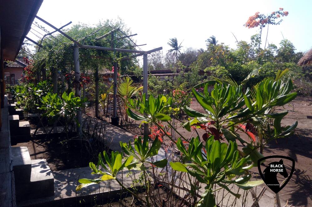 Photo of Others in Gili Meno
