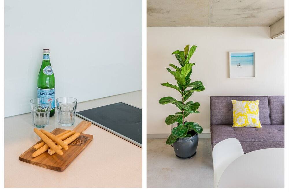 Photo of Others in Waverley