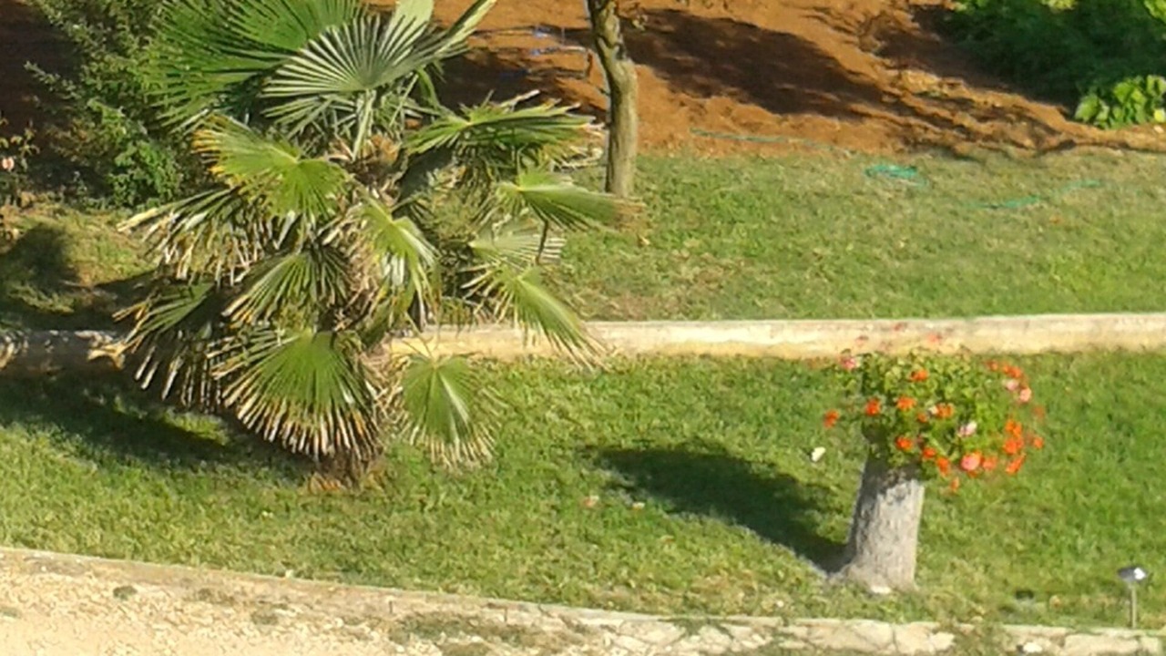 Photo of Outdoor in Privlaka