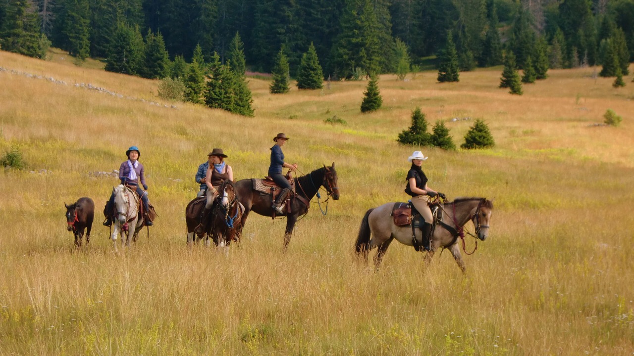 Photo of Others in Velika Plana