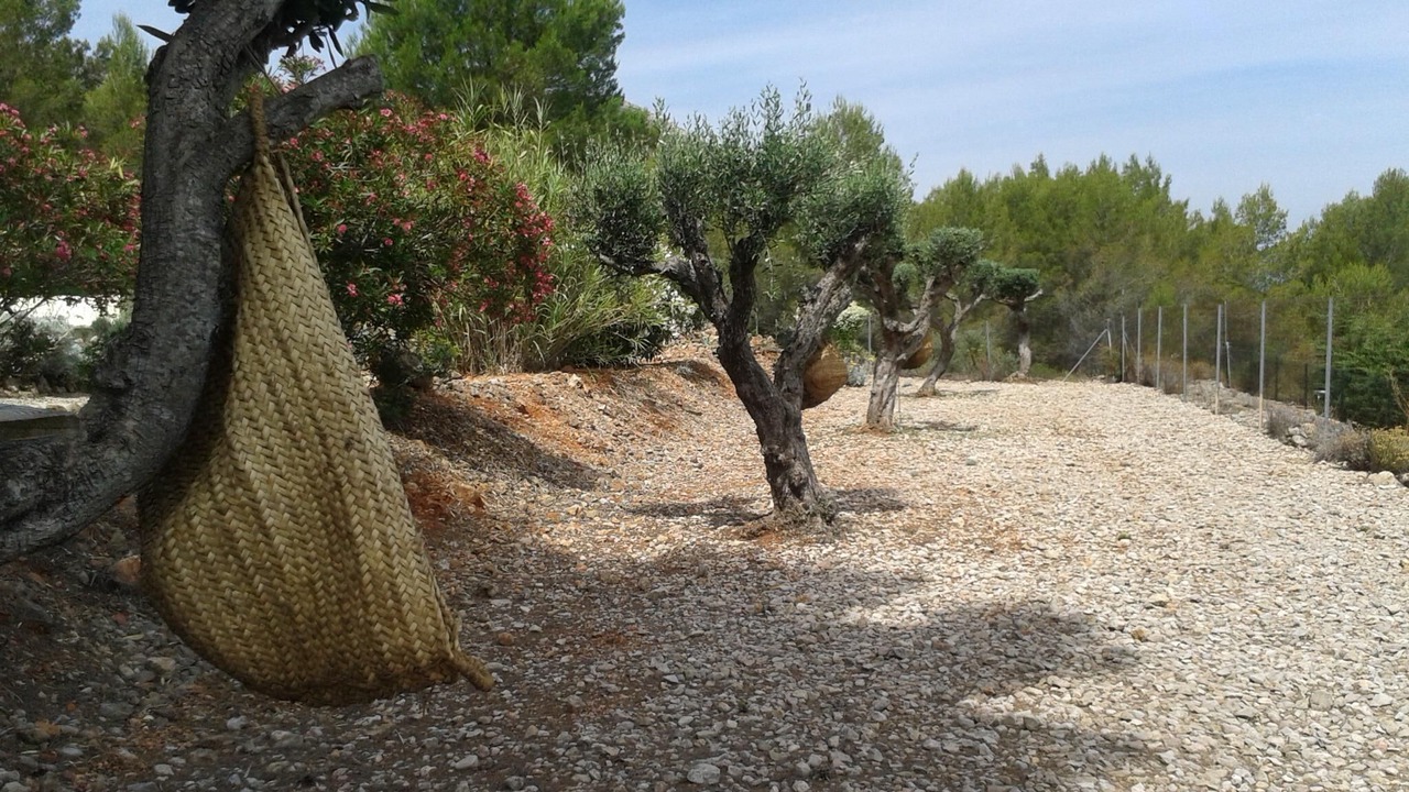 Photo of Outdoor in Lliber