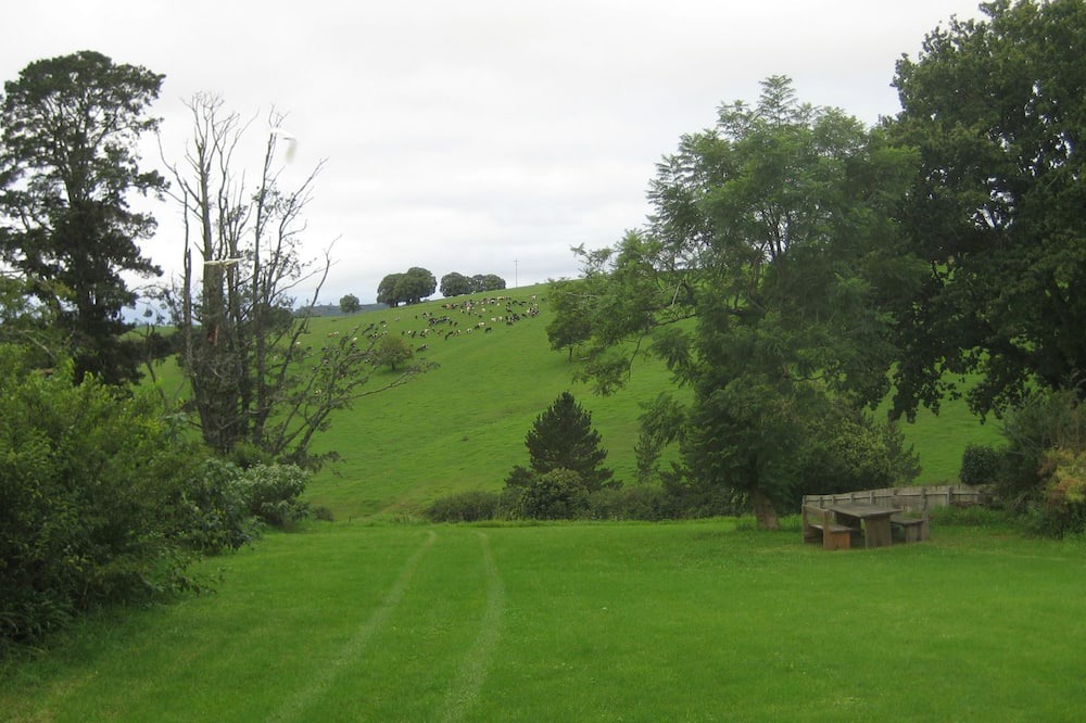 Photo of Outdoor in Dorrigo