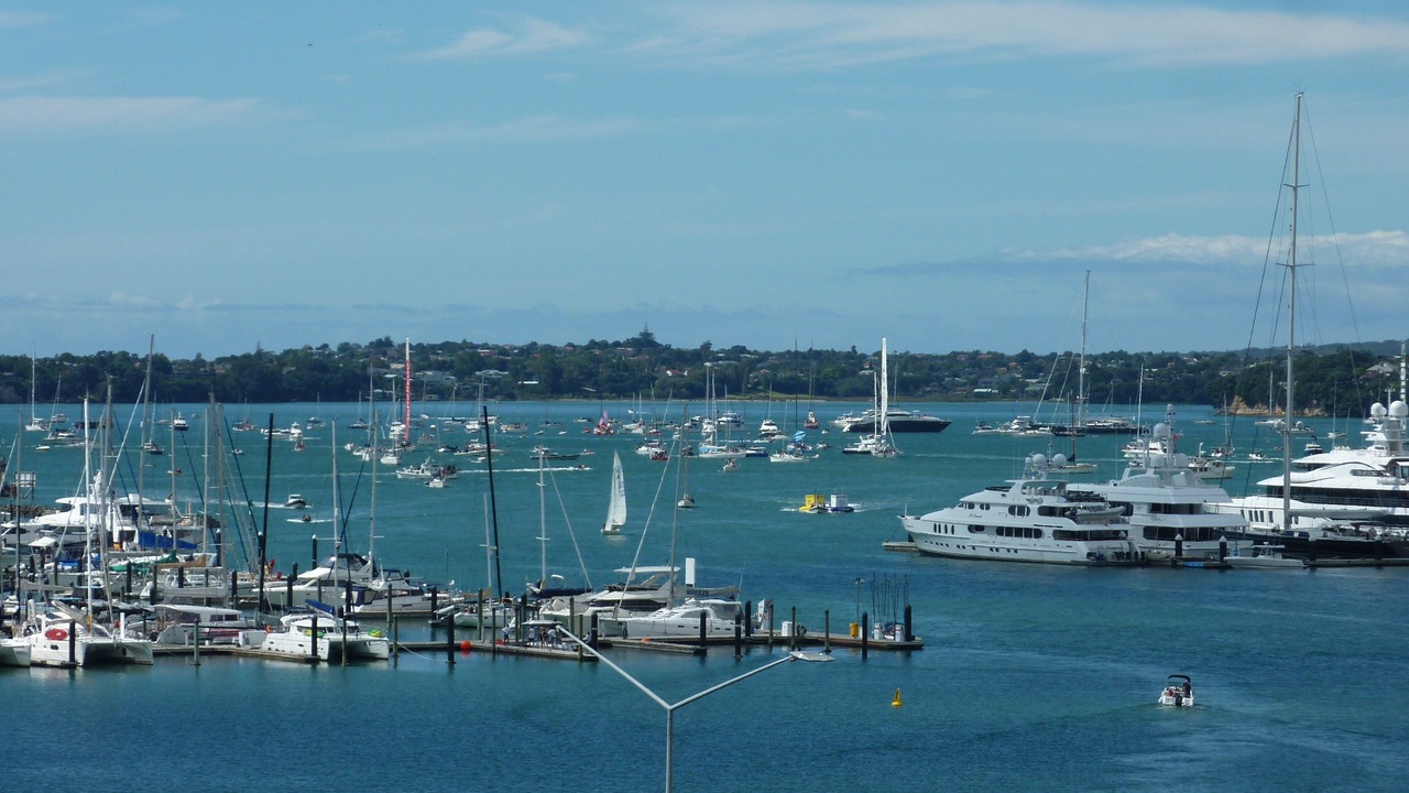 Photo of Others in St. Mary's Bay