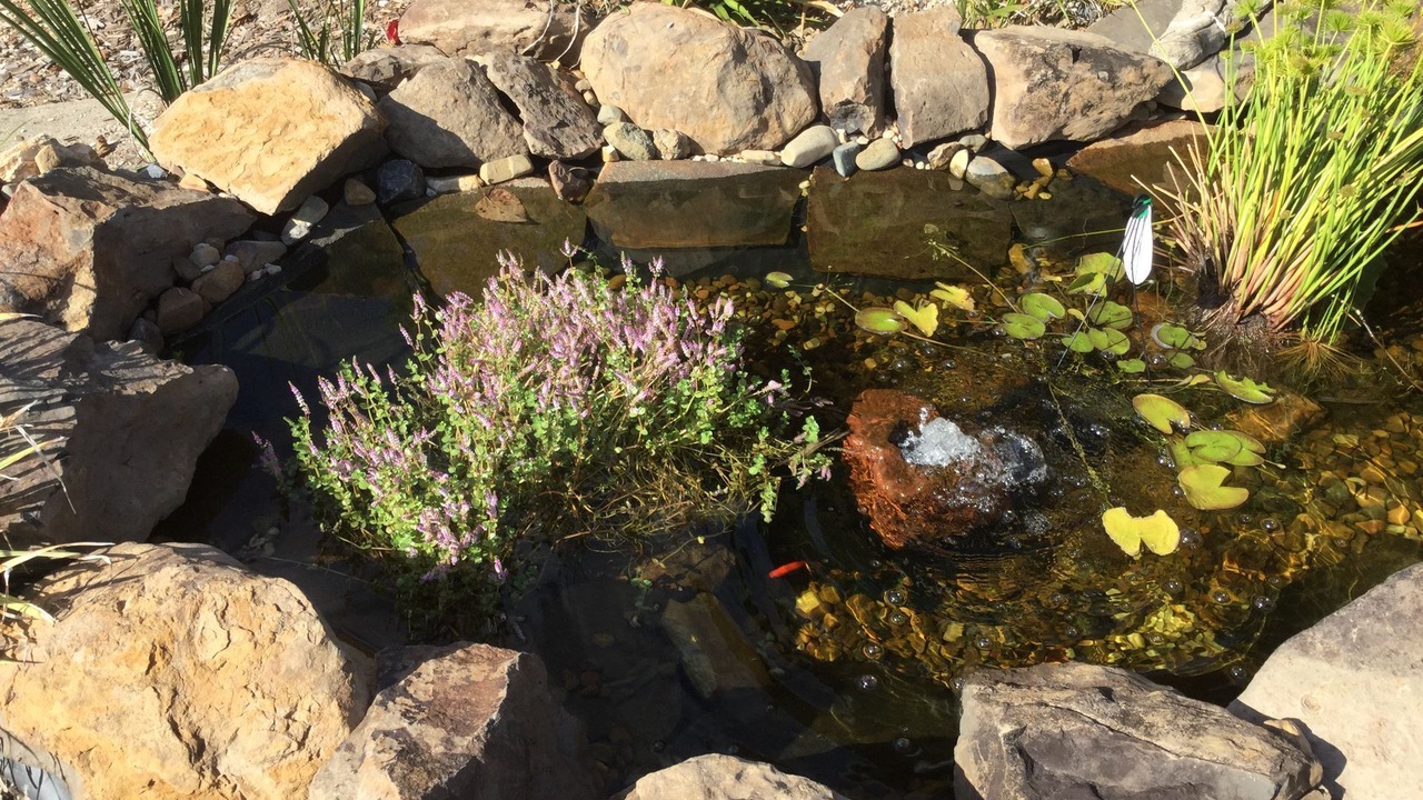 Photo of Outdoor in Urliup