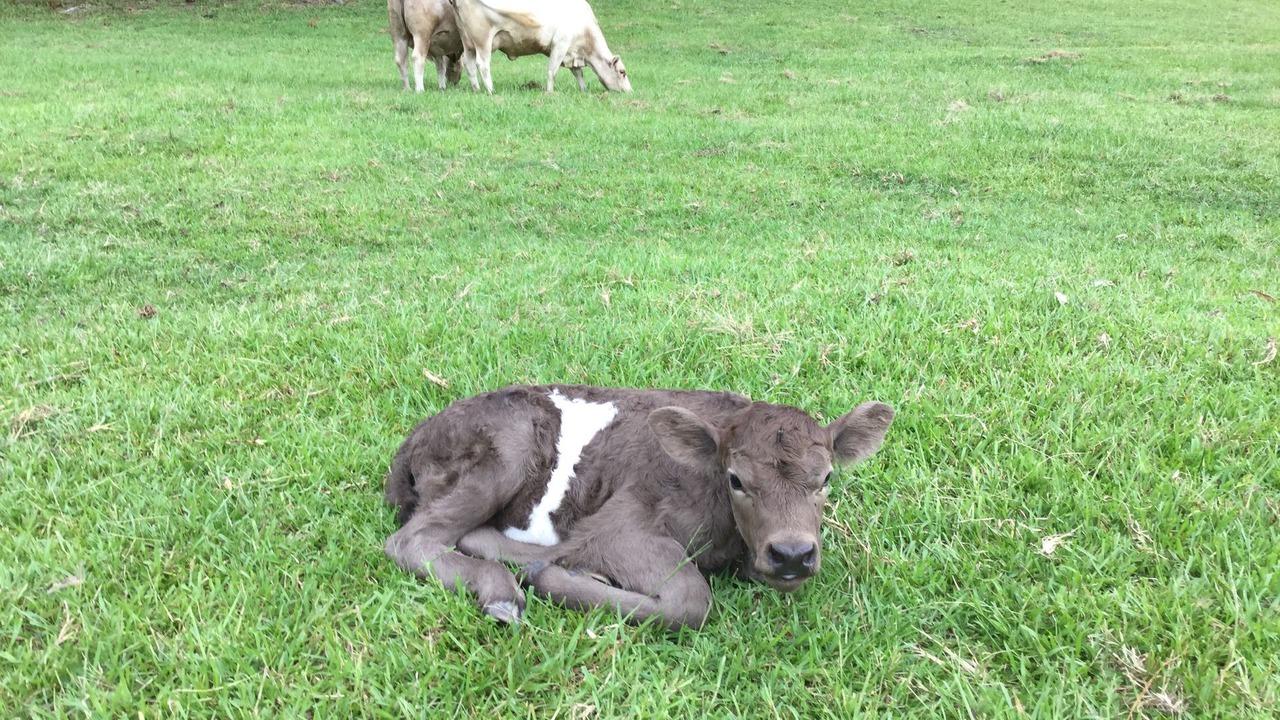 Photo of Outdoor in Urliup