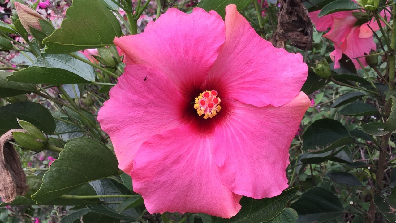 Photo of Outdoor in Urliup