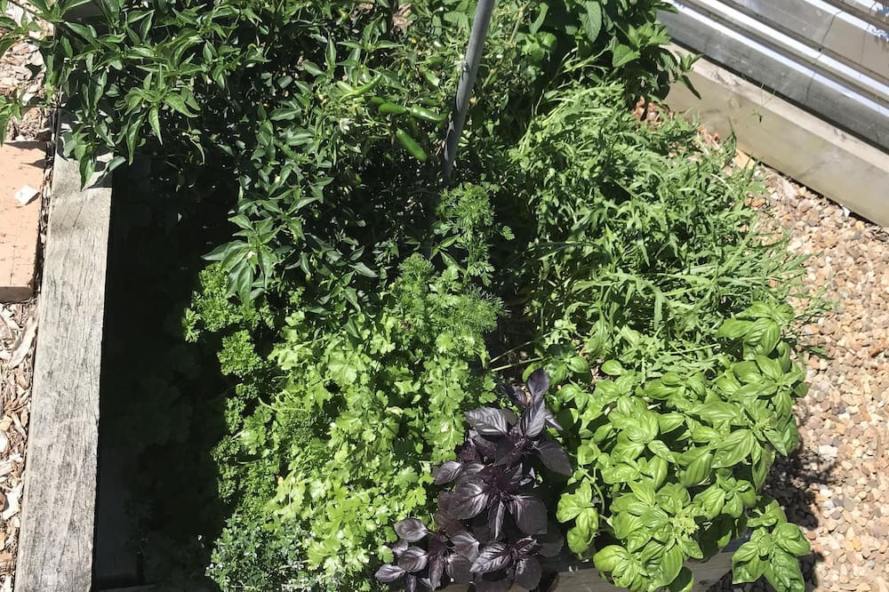 Photo of Others in Moruya Heads