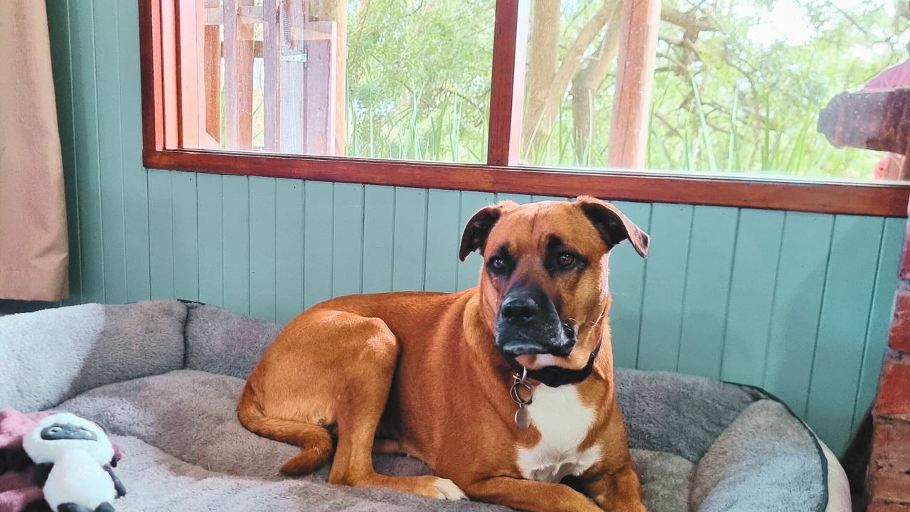 Photo of Others in Lysterfield