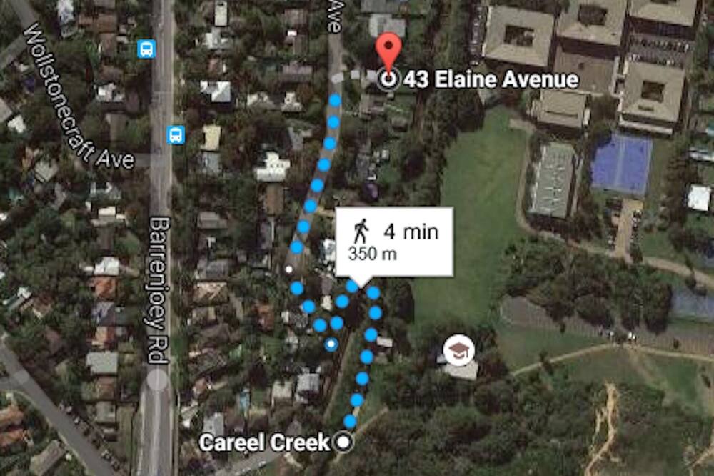 Photo of Others in Avalon Beach