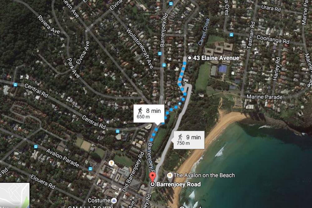 Photo of Others in Avalon Beach