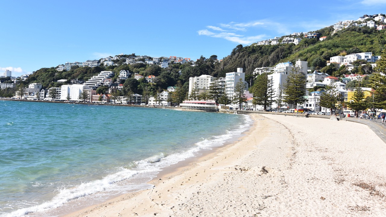 Photo of Outdoor in Wellington