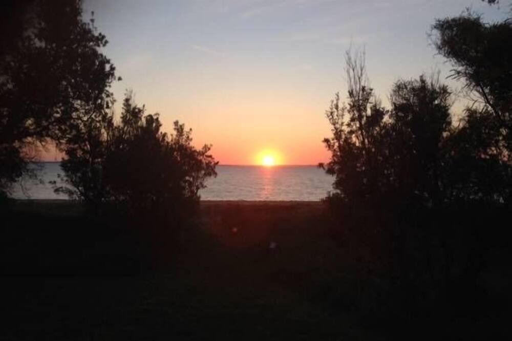 Photo of Others in Coronet Bay