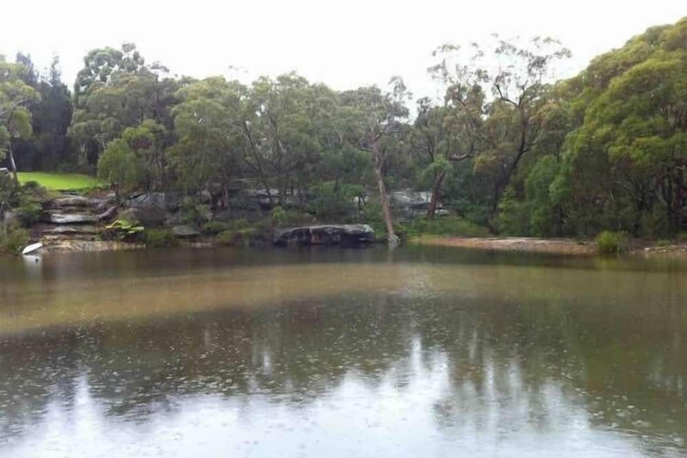 Photo of Outdoor in Arcadia