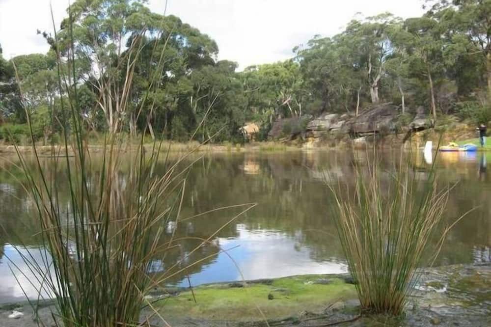 Photo of Outdoor in Arcadia