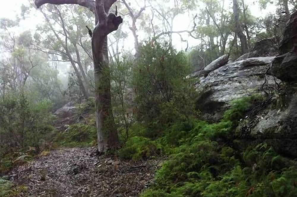 Photo of Outdoor in Arcadia