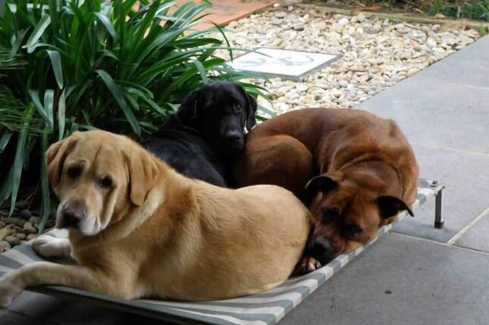 Photo of Outdoor in Arcadia