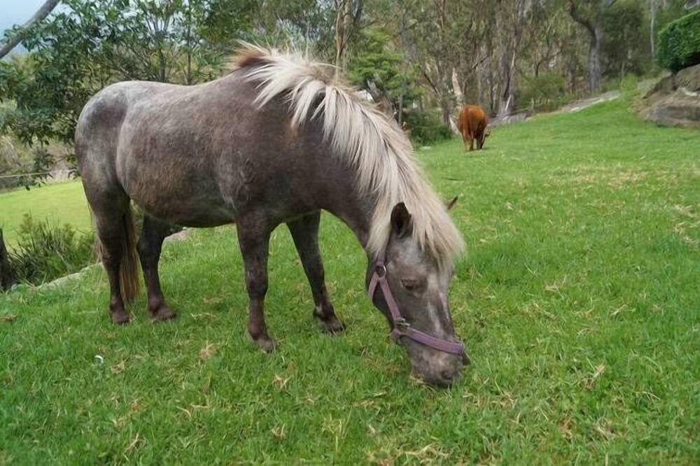 Photo of Outdoor in Arcadia