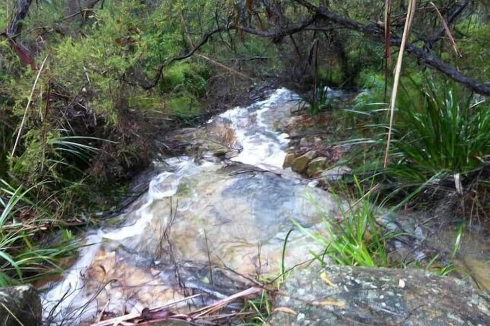 Photo of Outdoor in Arcadia