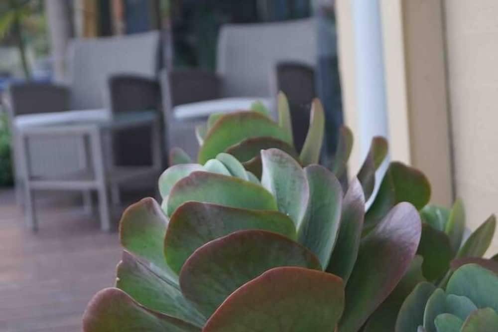 Photo of Outdoor in Arcadia