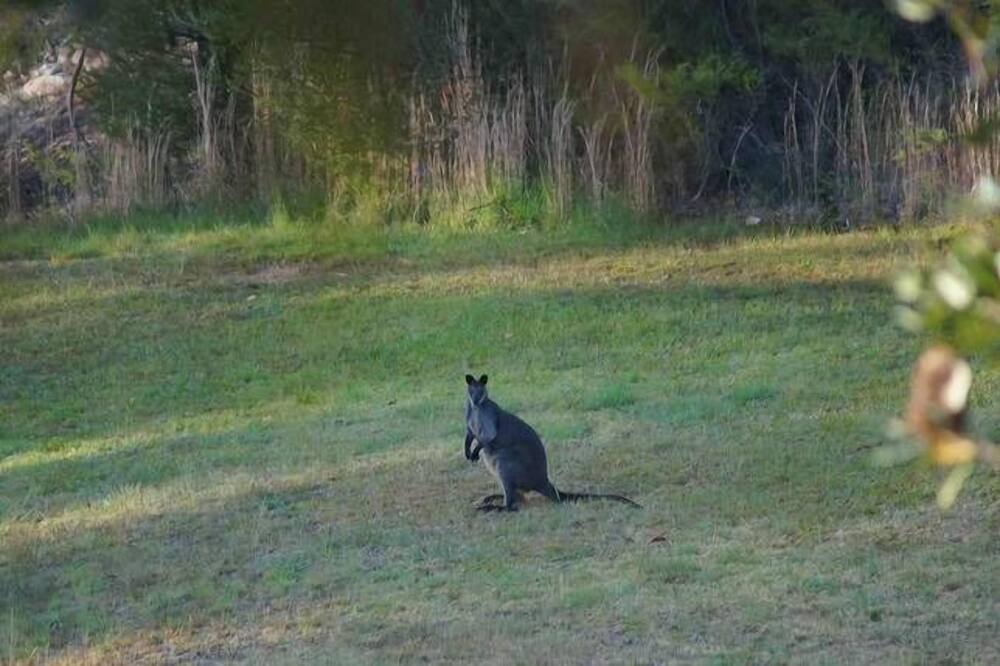 Photo of Outdoor in Arcadia