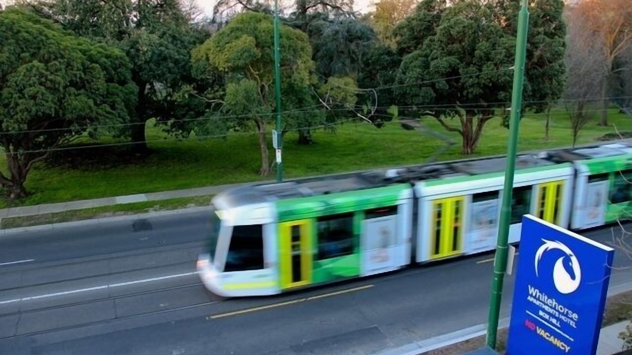 Photo of Outdoor in Mont Albert