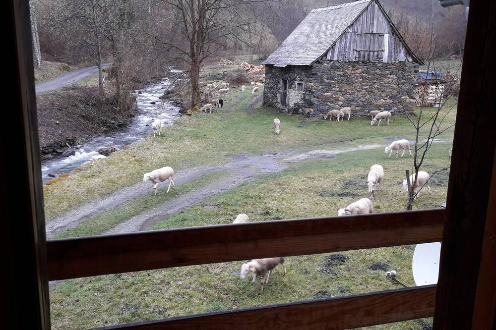 Photo of Others in Sentein