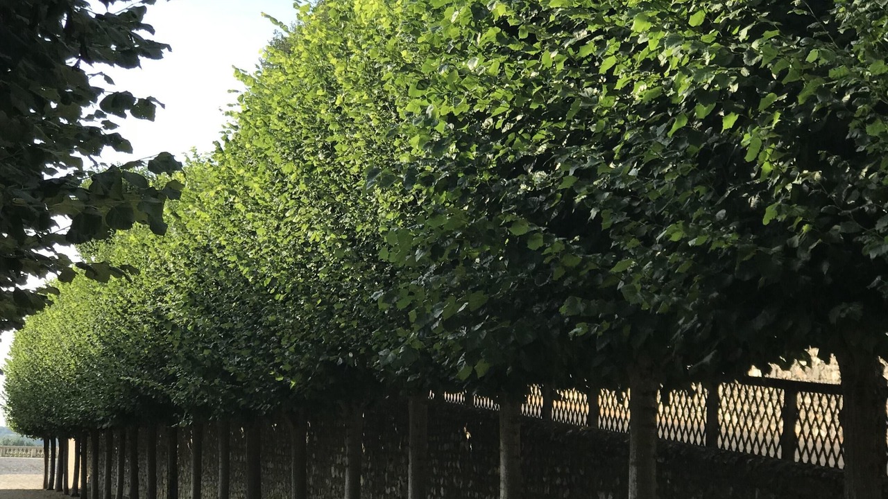 Photo of Outdoor in Fontevraud-l'Abbaye