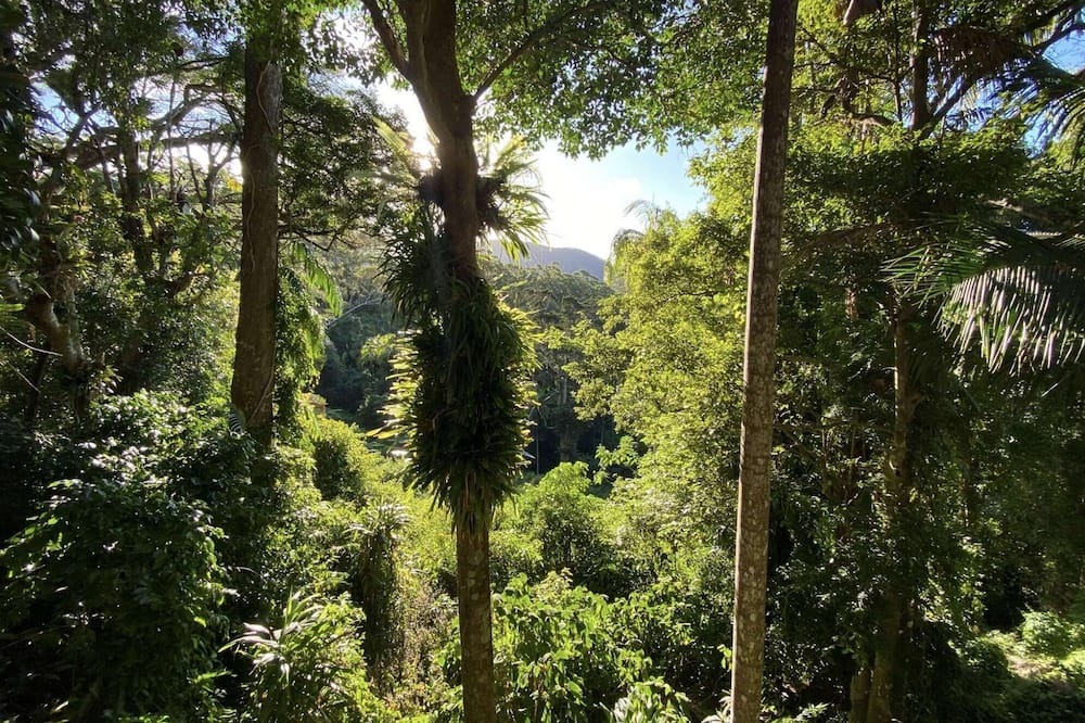 Photo of Others in Currumbin Valley