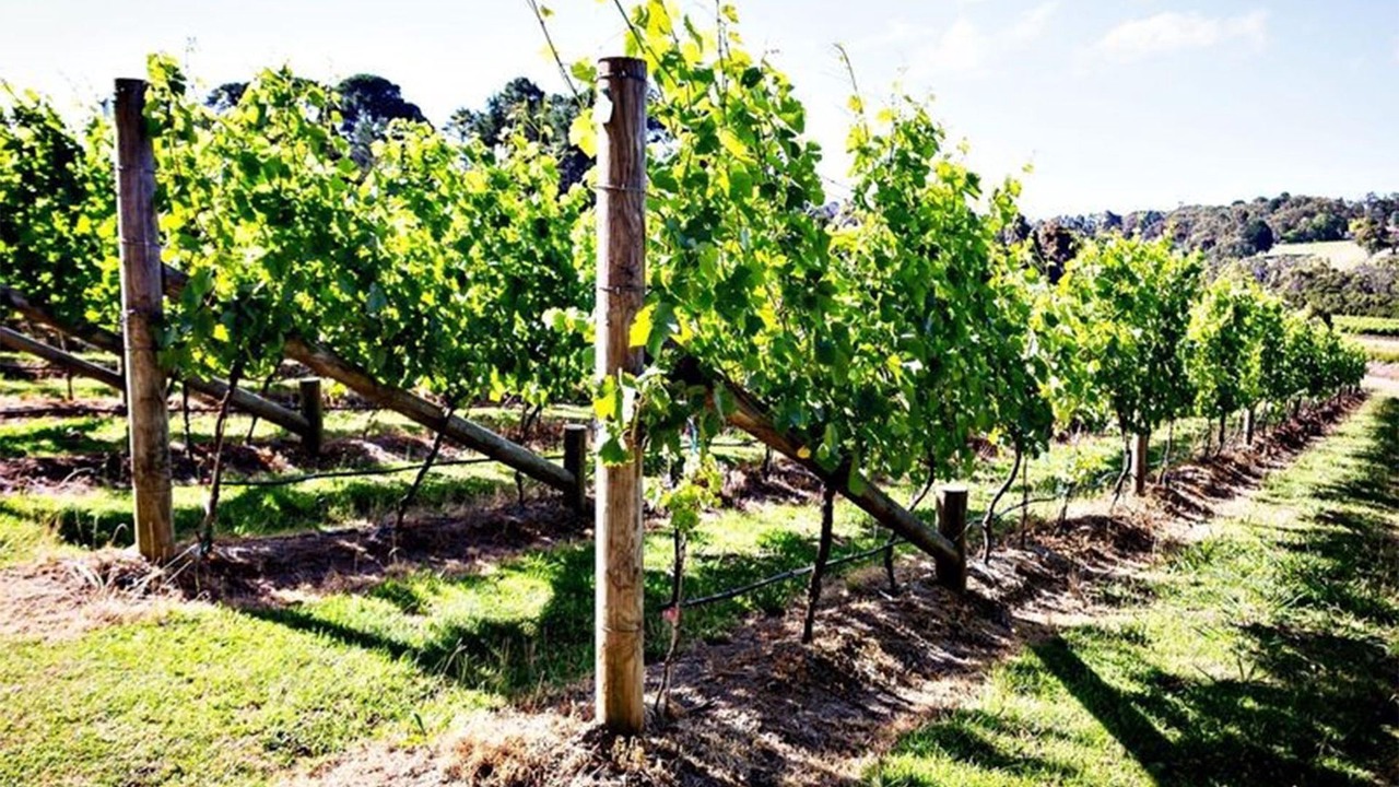 Photo of Outdoor in Merricks North