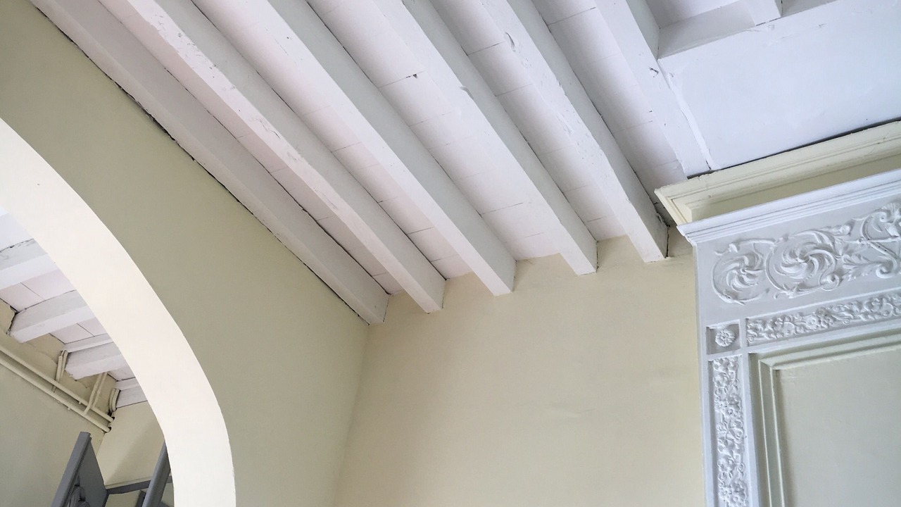 Photo of Others in Robins Bay