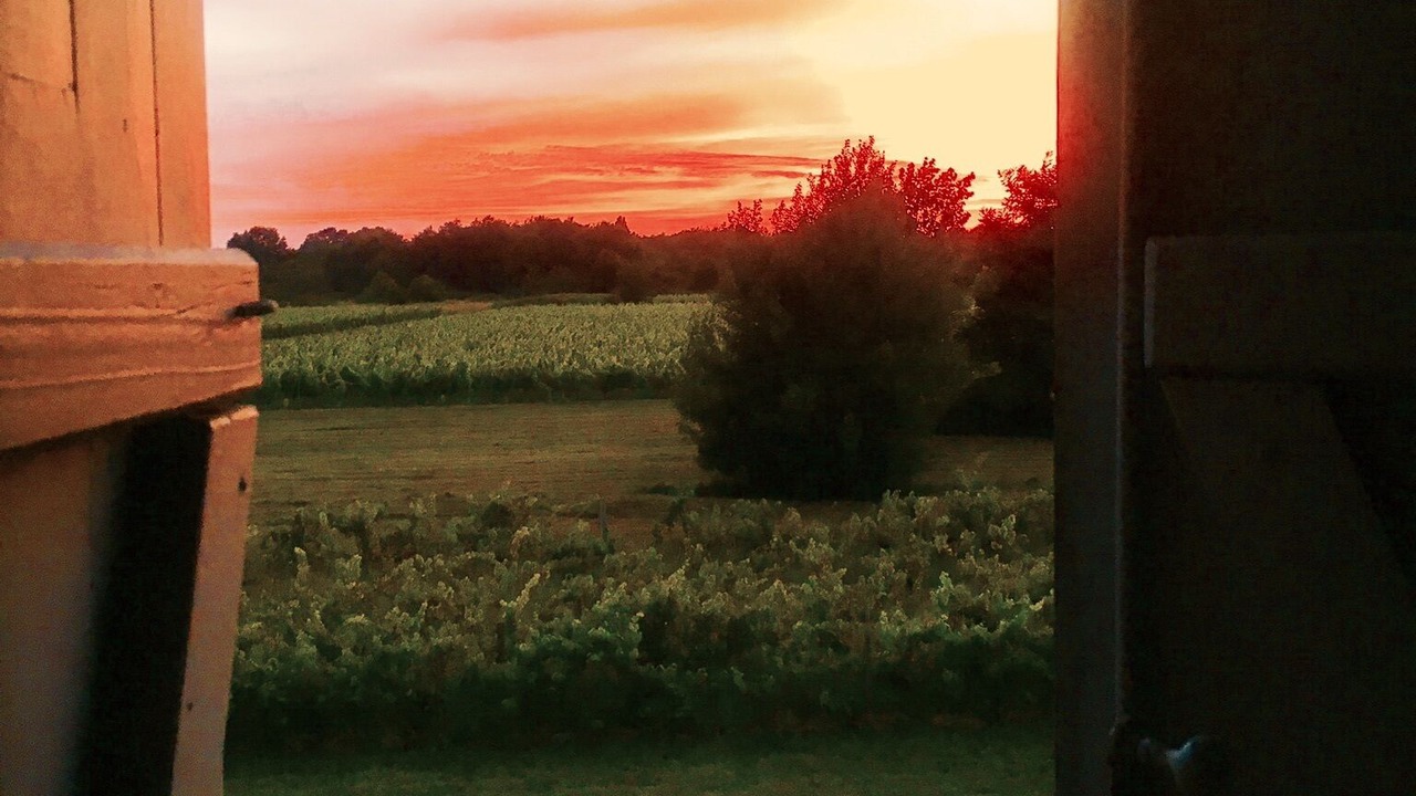 Photo of Others in Robins Bay