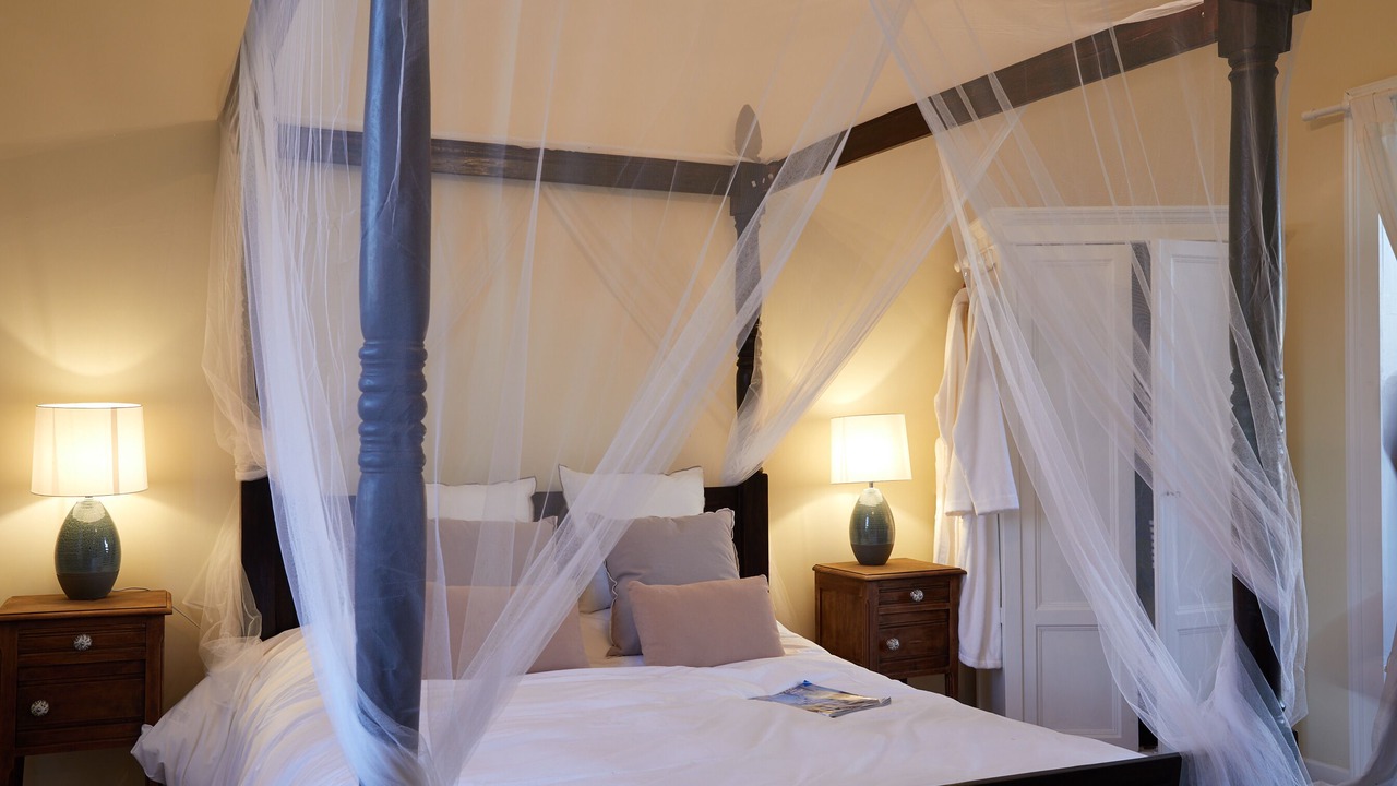 Photo of Others in Robins Bay