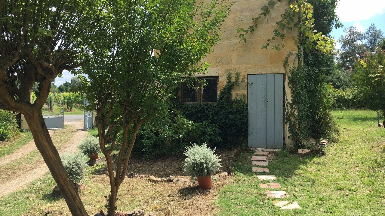 Photo of Outdoor in Robins Bay