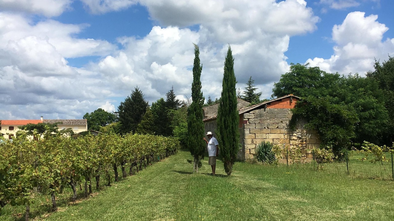 Photo of Outdoor in Robins Bay