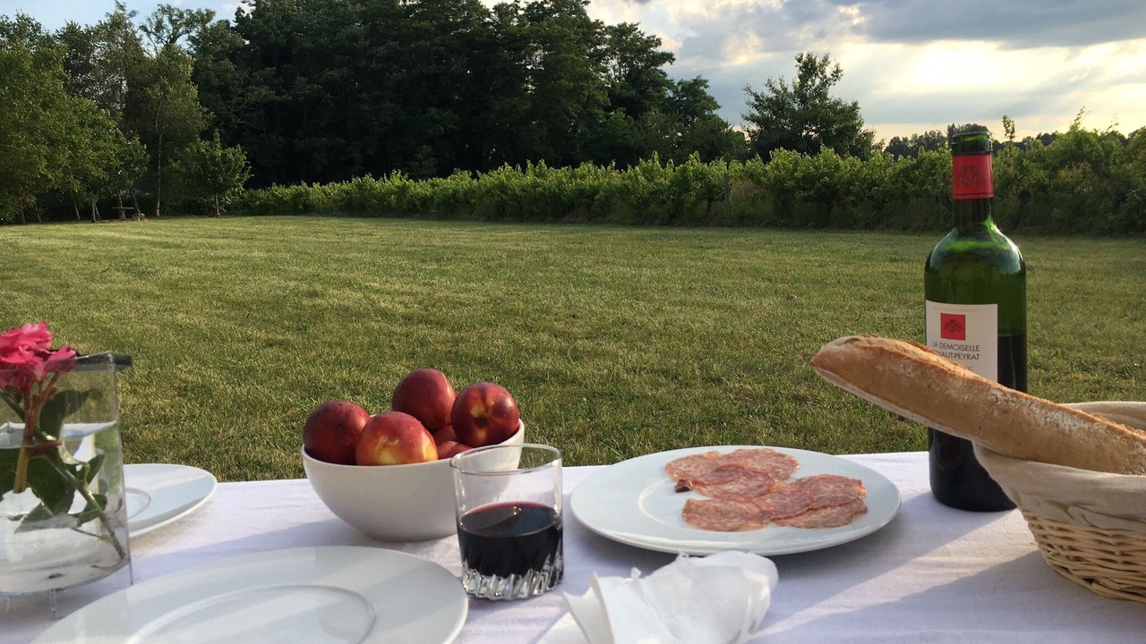 Photo of Others in Robins Bay