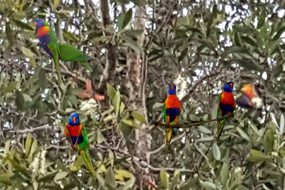 Photo of Others in Bexley