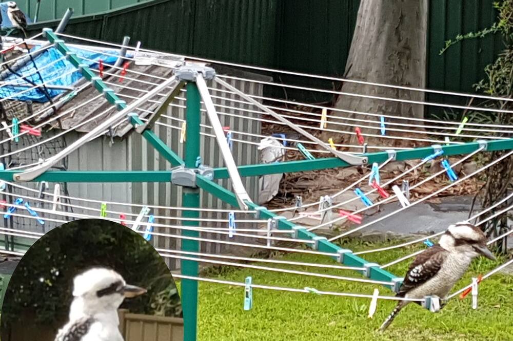 Photo of Others in Bexley