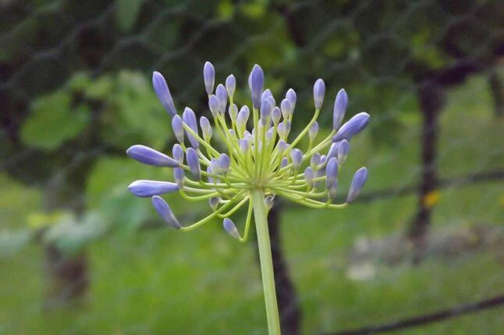 Photo of Outdoor in Boyland