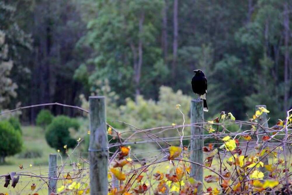 Photo of Outdoor in Boyland