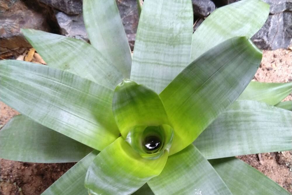 Photo of Outdoor in Boyland