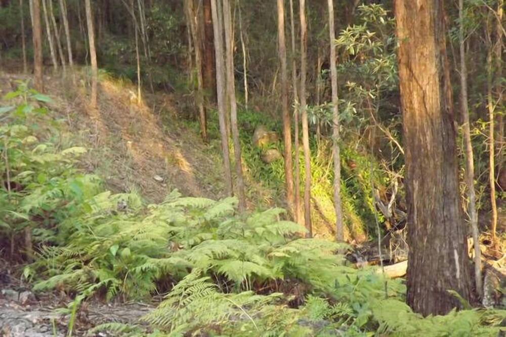 Photo of Outdoor in Boyland