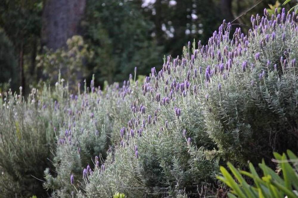 Photo of Outdoor in Boyland