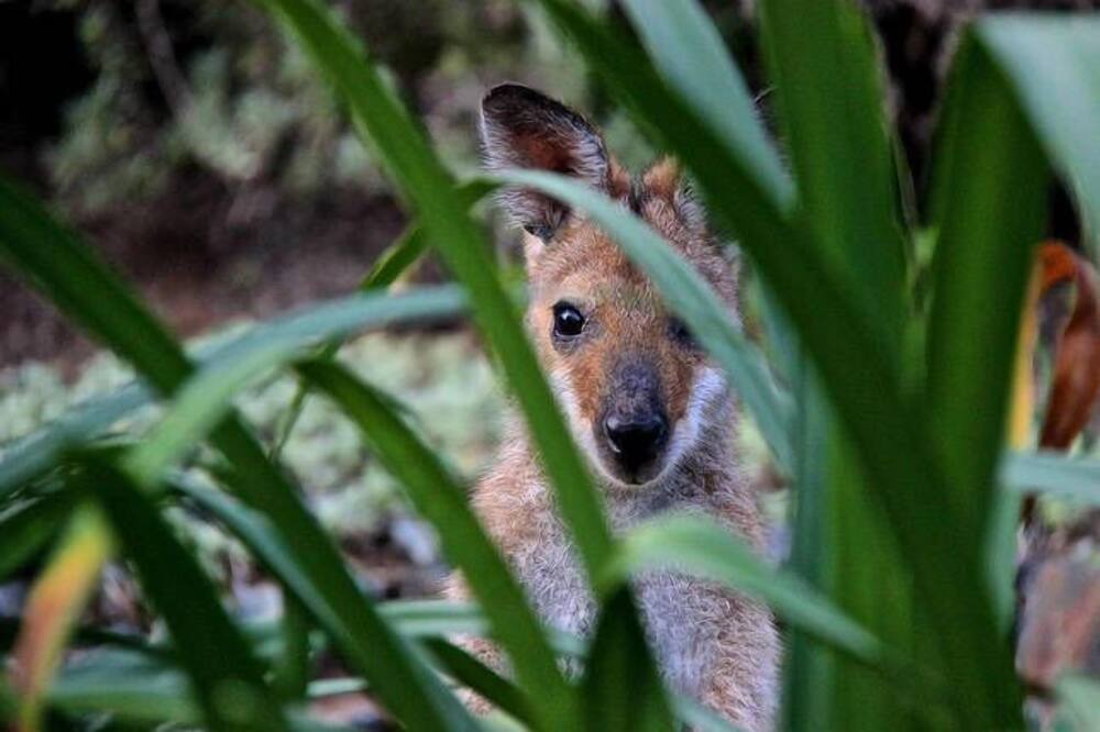 Photo of Outdoor in Boyland