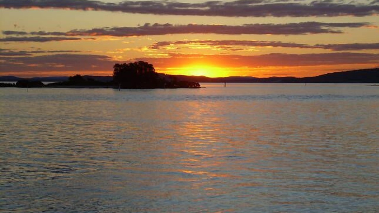 Photo of Others in Soldiers Point