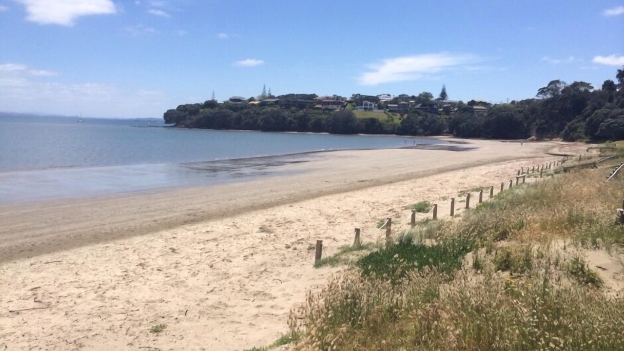 Photo of Others in Manly